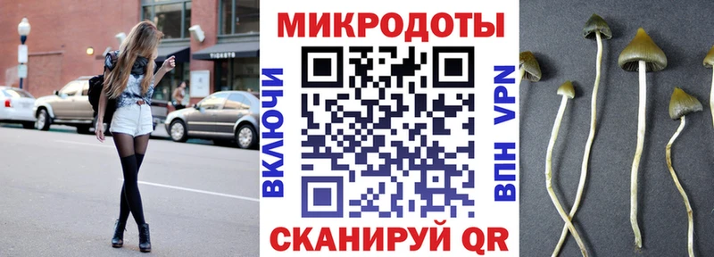 Галлюциногенные грибы Cubensis  Северодвинск 